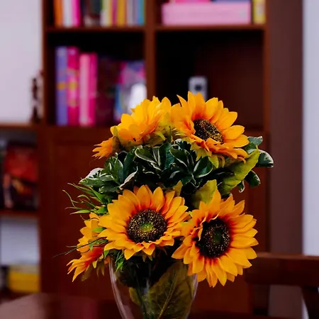 Apartman Casa Gaby Róma